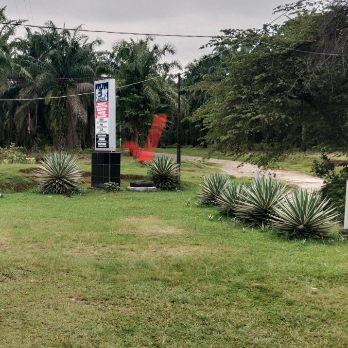 Program Nasional Mandek, Manajer Kebun Marihat Disorot Keras: KMP Silampuyang Terhambat di Tangannya