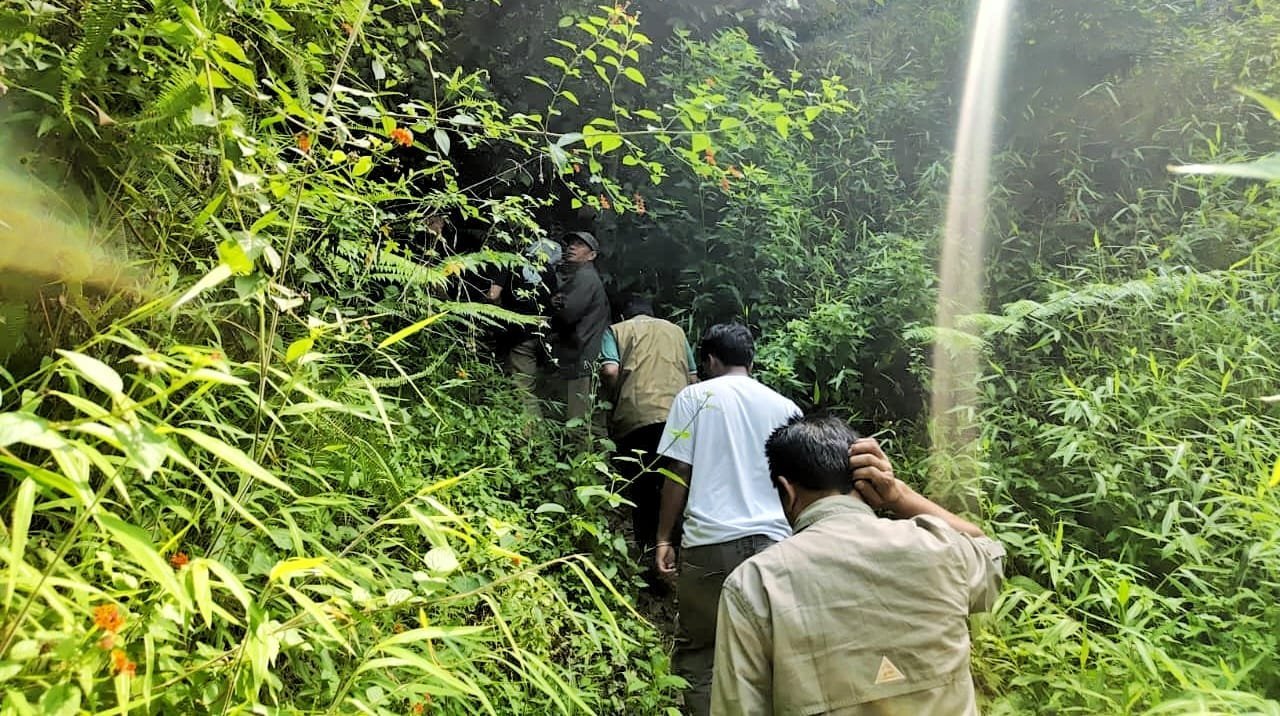Temuan Bangkai Satwa Liar di Kelurahan Girsang: BKSDA dan Camat Tegaskan Bukan Harimau Sumatra, Melainkan Macan Akar