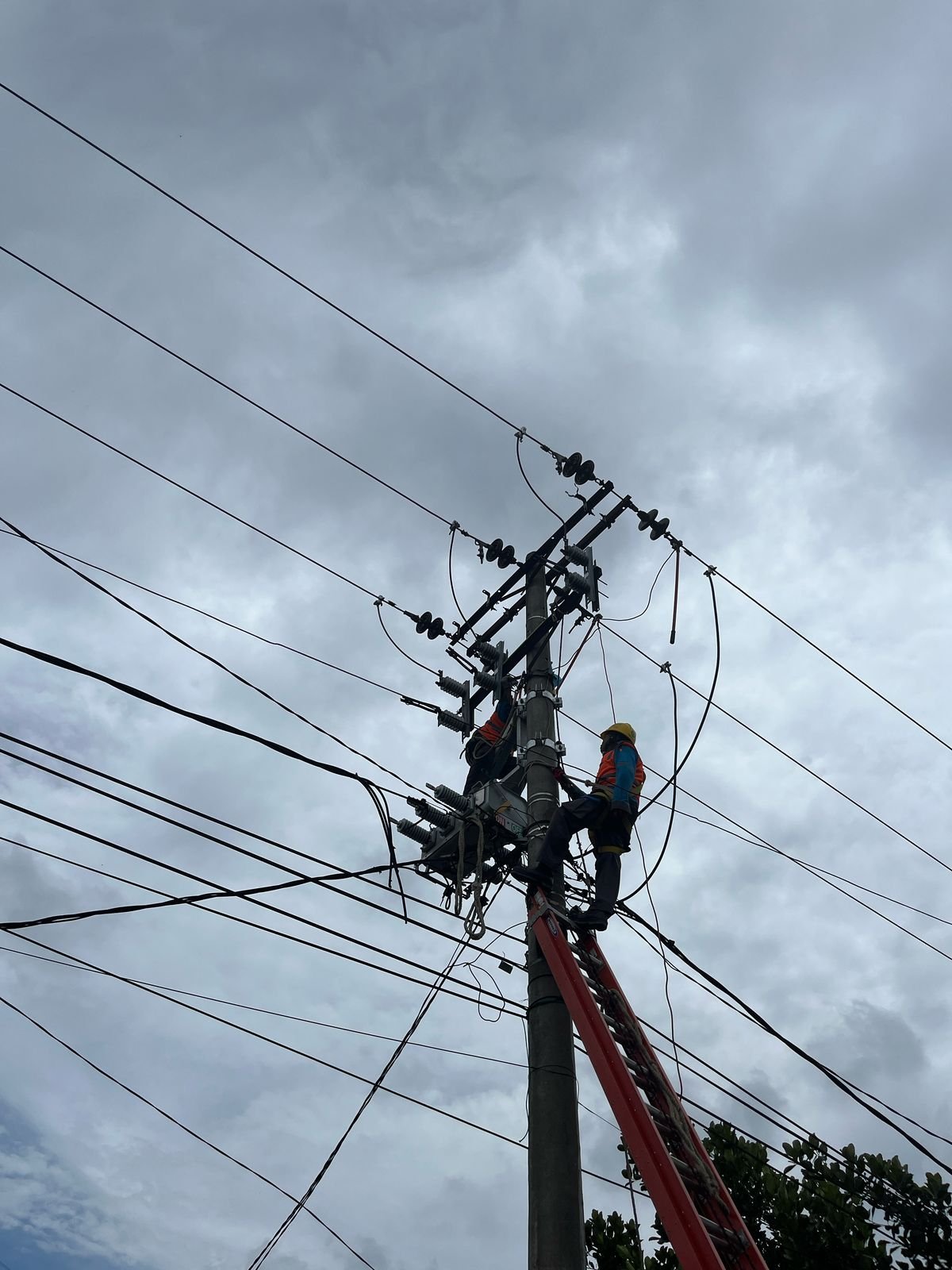Tingkatkan Keandalan Listrik, PLN Lakukan Pemeliharaan Jaringan Listrik