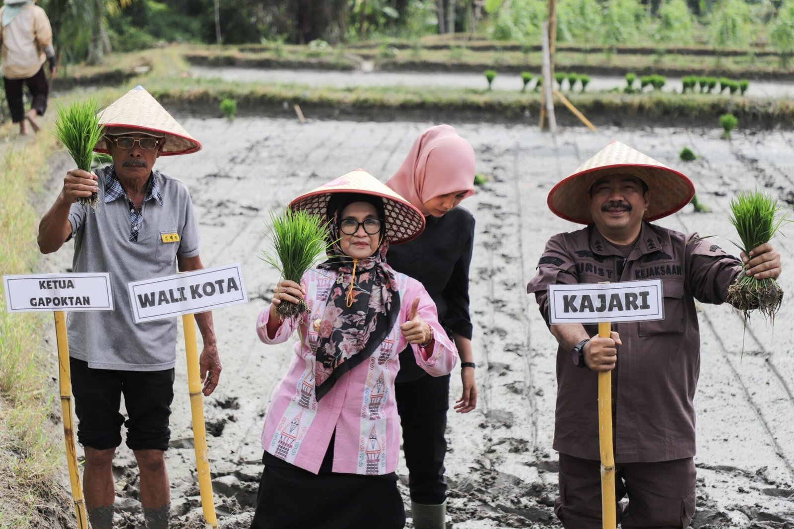 Wali Kota Pematangsiantar Tanam Padi Perdana Kelompok Tani Satahi