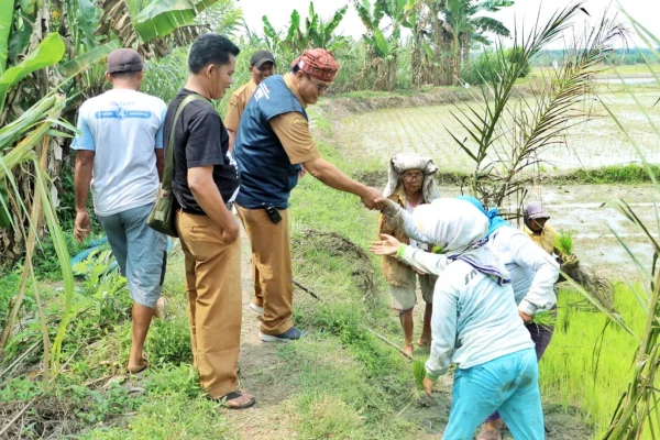 Tingkatkan Produksi Pertanian, Kepala BPBD Simalungun Tinjau Dua Bendung yang Rusak Akibat Bencana Banjir di Kecamatan Ujung Padang