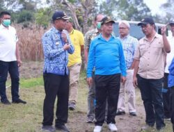 Bupati dan Ketua DPRD Simalungun Tinjau Giat Haroan Bolon Di Kecamatan Panei Dan Sidamanik