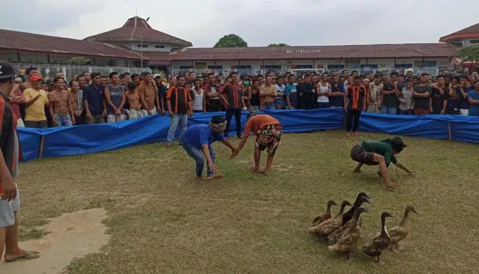 Bebek yang Lepas di Lapas berhasil Ditangkap WBP