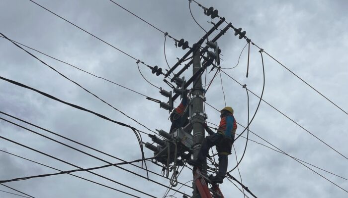 Tingkatkan Keandalan Listrik, PLN Lakukan Pemeliharaan Jaringan Listrik