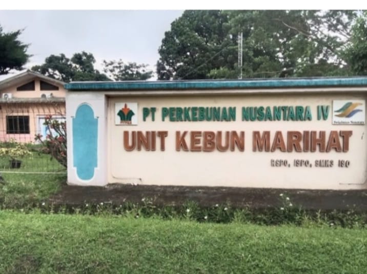 Lonjakan Serangan Ulat Kantung Mengancam TBM-3 Kebun Marihat, PTPN IV Hadapi Risiko Kerugian