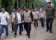 Tinjau Jalan Putus Akibat Longsor, Bupati Simalungun Himbau Masyarakat Untuk Berhati-hati
