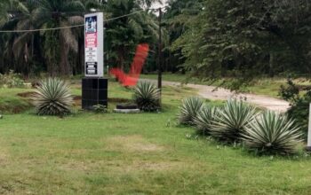 Program Nasional Mandek, Manajer Kebun Marihat Disorot Keras: KMP Silampuyang Terhambat di Tangannya