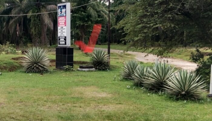 Program Nasional Mandek, Manajer Kebun Marihat Disorot Keras: KMP Silampuyang Terhambat di Tangannya