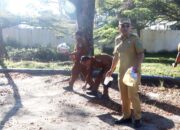 Dukung Gerakan Indonesia ASRI, Bupati Simalungun Ajak ASN Lakukan Kegiatan Bersih-bersih Lingkungan Kerja Usai Apel Pagi